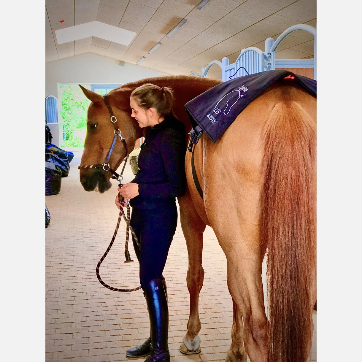 R Series Pro Topline