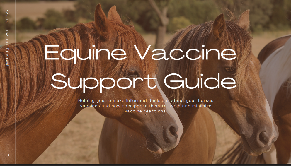 FREE Equine Vaccine & Detox Guide