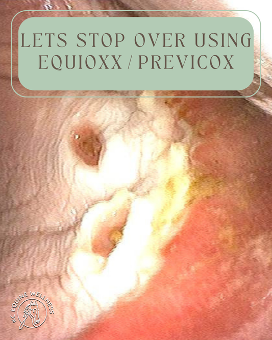 Lets Stop Overusing Previcox/Equioxx for Horses!