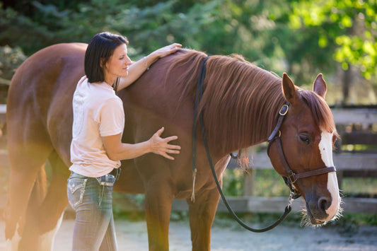 Regular Nutrition vs. Holistic Nutrition: Why the Difference Matters More Than You Think