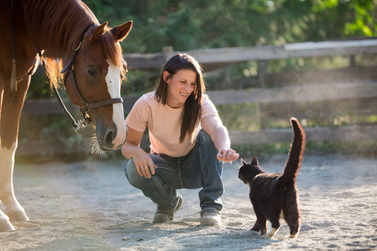 The Illusion of “Health in a Bag”- Ration Balancers and Processed feed-Why It Helps to Look a Little Closer and Understand what your Horses Really Need