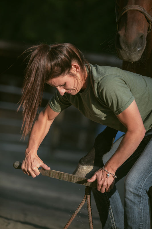 Hoof Pain, Stress, and Insulin Resistance- The Correlation.