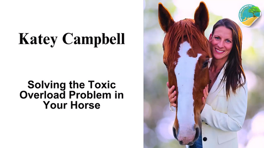 Solving the Toxic Overload Problem in your Horse a Webinar with Holistic Vet Jeff Grognet