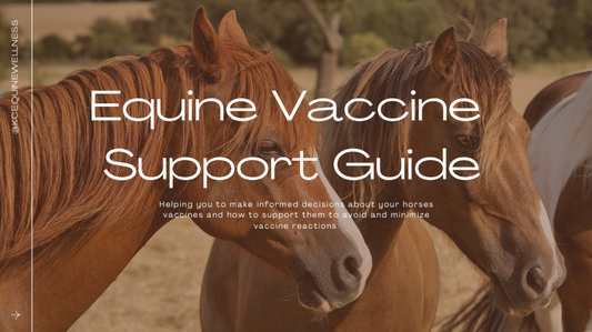 Free Equine Vaccine and Detox Guide