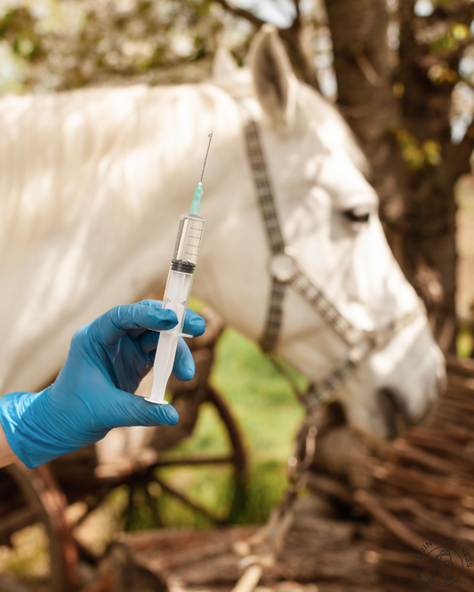 Equine Vaccines: An Individualized, Informed Approach for Your Horse