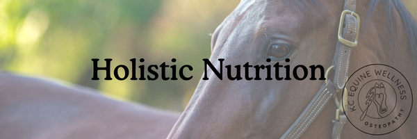 Equine Holistic Nutrition Consultation