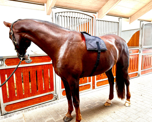 Equine LTS Mini Pro