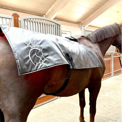 Full Topline Action Bundle