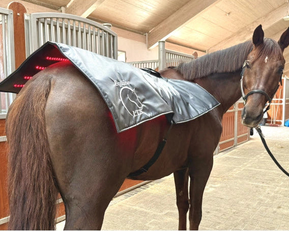 Full Topline Action Bundle