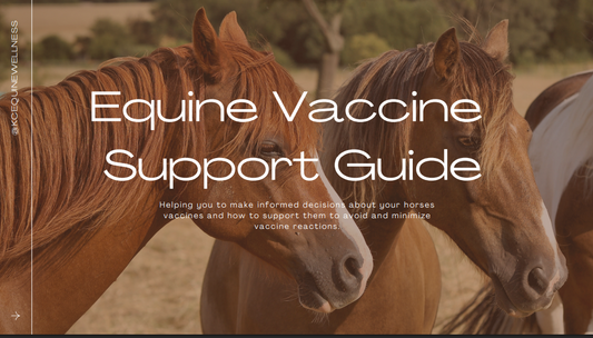 FREE Equine Vaccine & Detox Guide